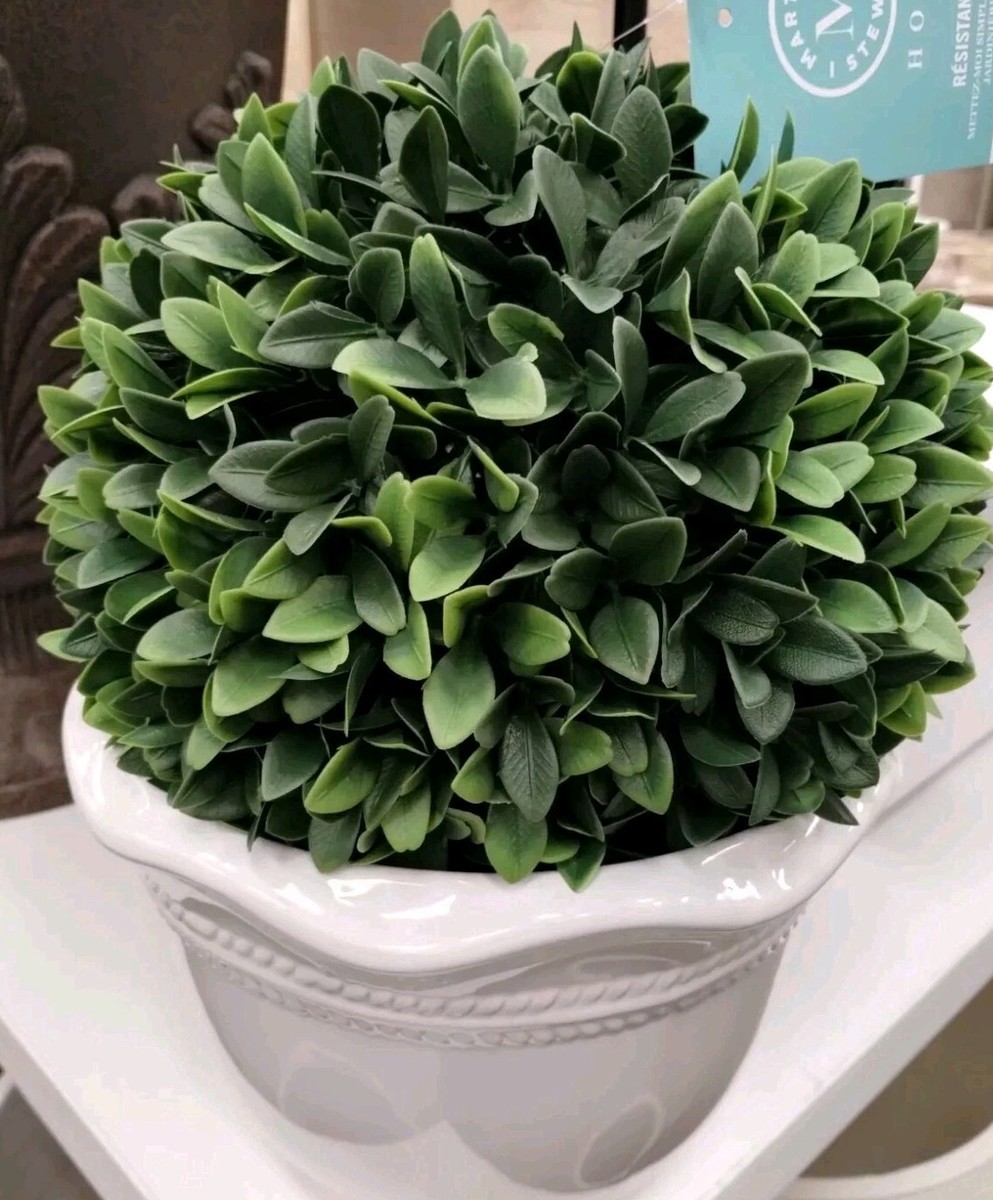 Martha Stewart MINT JULEP FERN TOPIARY PLANT BALL unique Boxwood