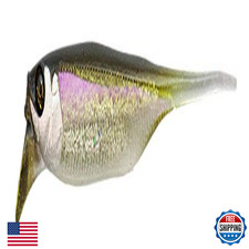 Jackall Rv Drift Fly 3 Flashing Smelt