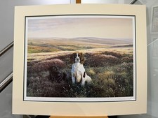 Steven Townsend - Workmates - Springer Spaniel - Artist Proof - beritten
