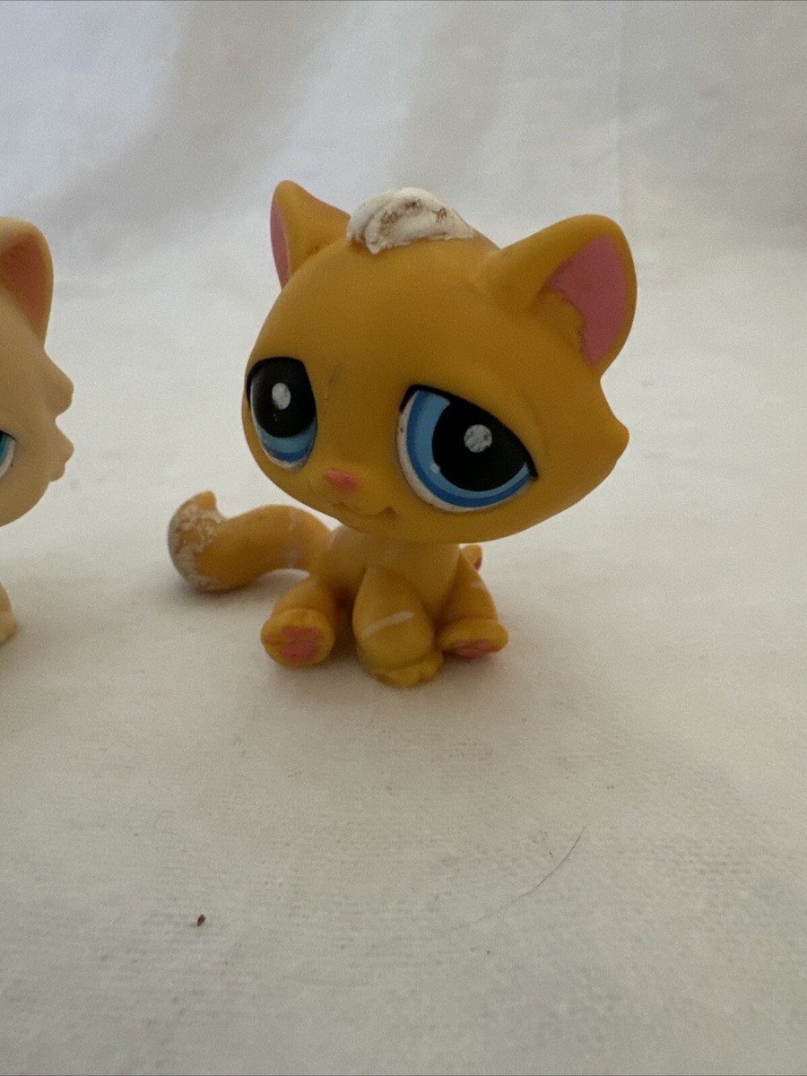 Littlest PetShop Kitten #920, authentique collection de