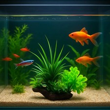 Acquista Bellissime piante artificiali per acquario, pesci, piante acquatiche, erba, ornamento, decorazione in plastica in Italia a partire da 12