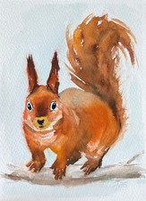 Eichhörnchen Original Wasserfarben Malerei, Aquarell Gemälde, 13 x 18 cm