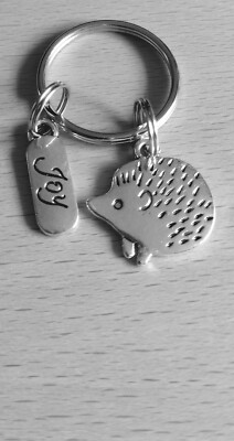 Fröhlicher kleiner ''Igel'' Schlüsselanhänger Bagcharm süß nützlich hübsch super Geschenk     