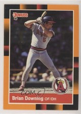 1988 Donruss Baseball's Best Box Set Brian Downing #27 x1r