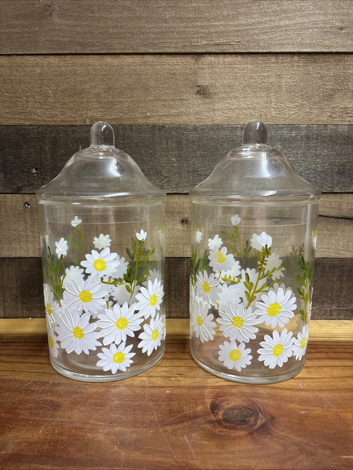 Handpainted Daisy Daisies Glass Jars Set Of 2