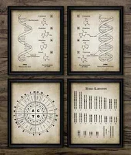 DNA and RNA Genetic Code Print Set Of 4, Vintage Style Biochemistry Wall Art