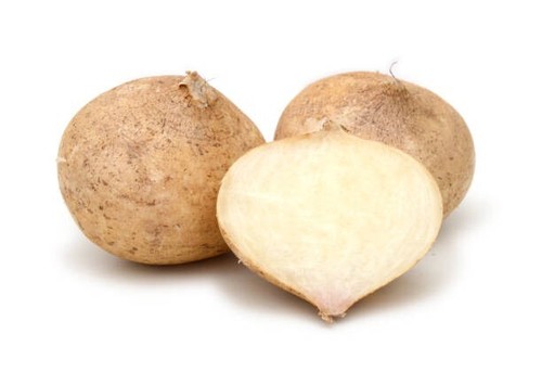 100++ Jicama Yam Bean Seedss (Pachyrhizus erosus) Mexican Turnip - Picture 3 of 9