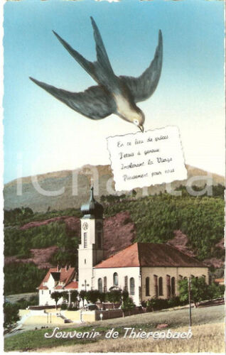 1950 ca JUNGHOLTZ (FRANCE) Rondine vola su Santuario THIERENBACH  *Cartolina FP - Photo 1/1