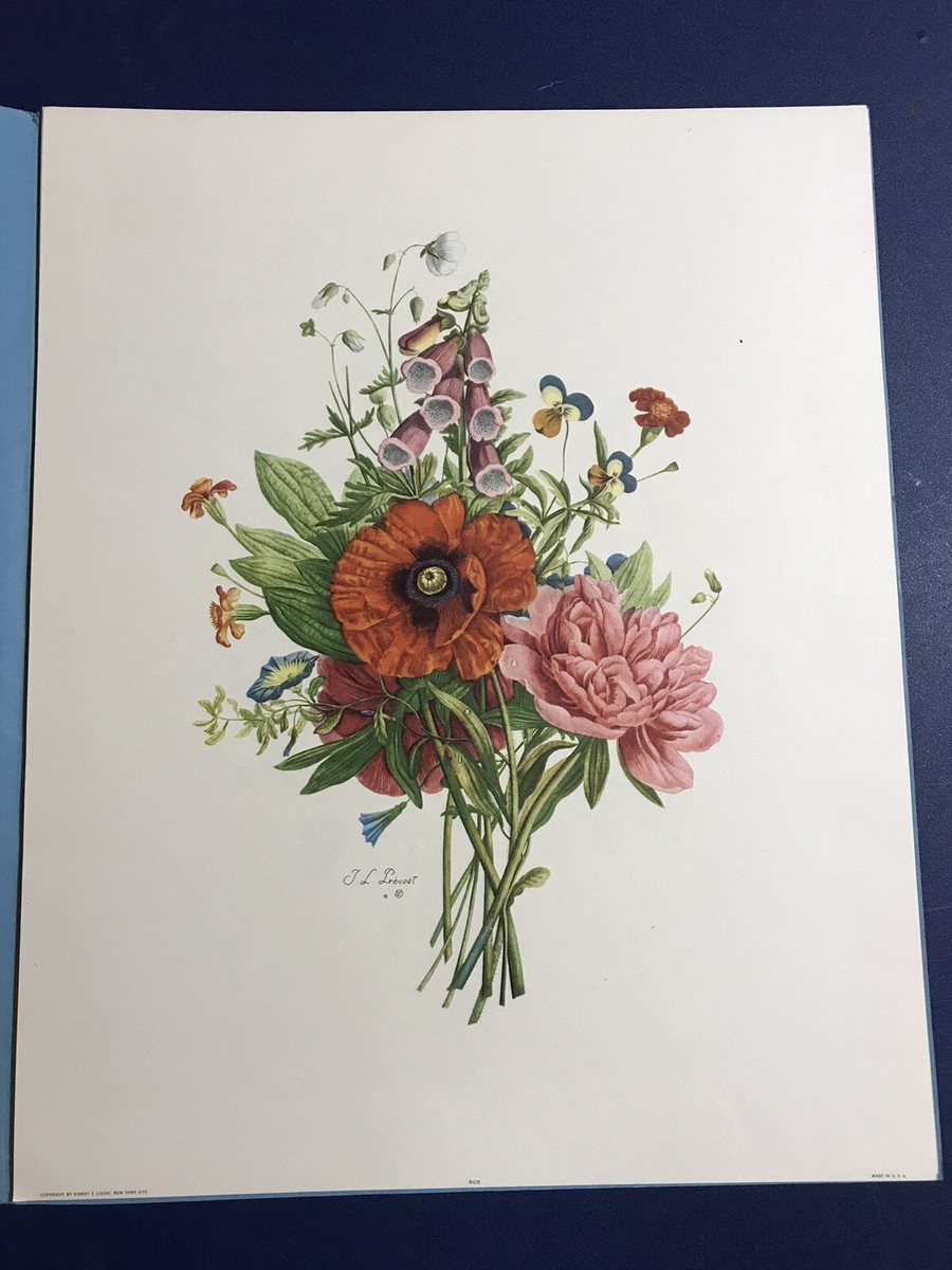 JEAN LOUIS PREVOST BOUQUETS SET OF SIX PARIS ETCHING SOCIETY