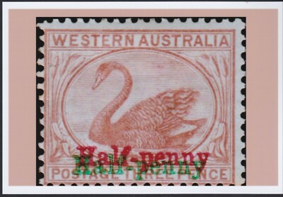 パース ポストカード ウェスタンオーストラリア c.1895 WA Western Australia Half-Penny Swan Red Green O/P A6