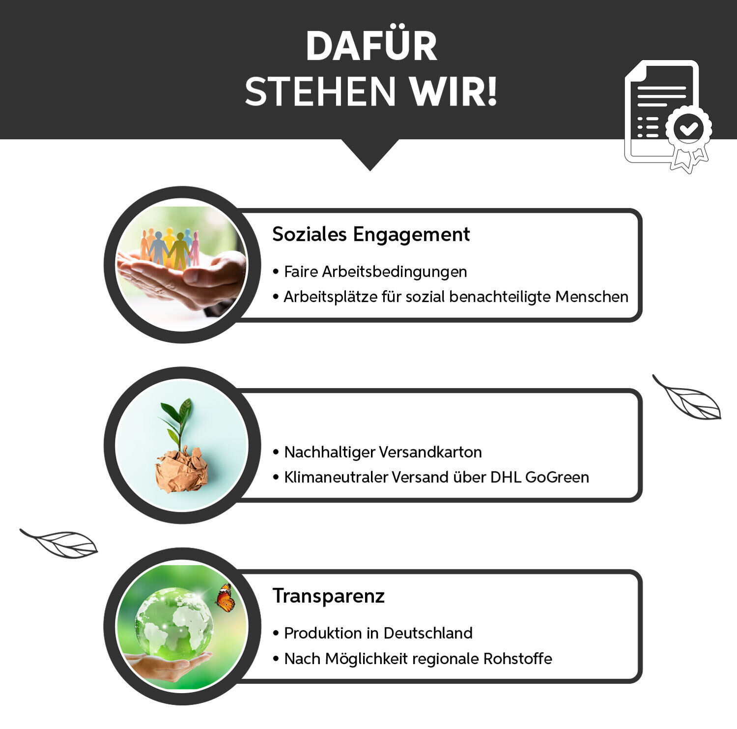 Bild 3 von 3