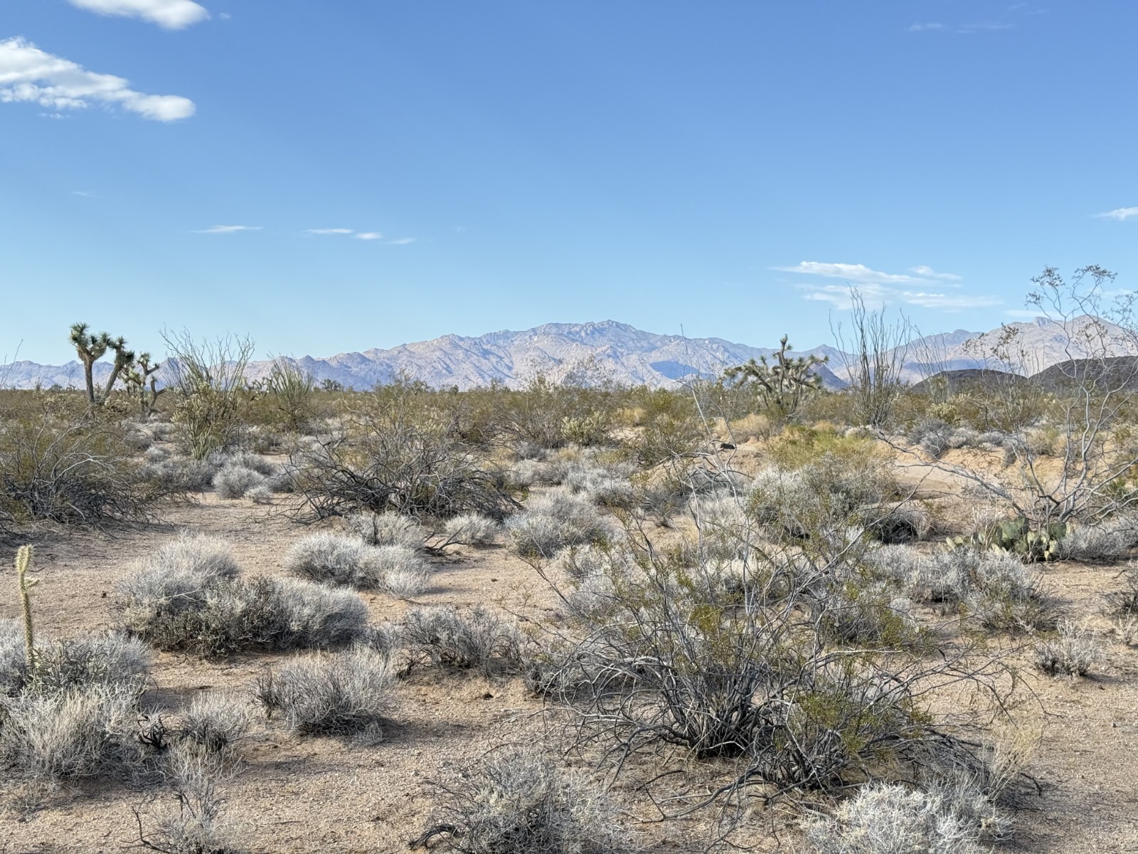 Arizona Land for Sale - 40 acres 