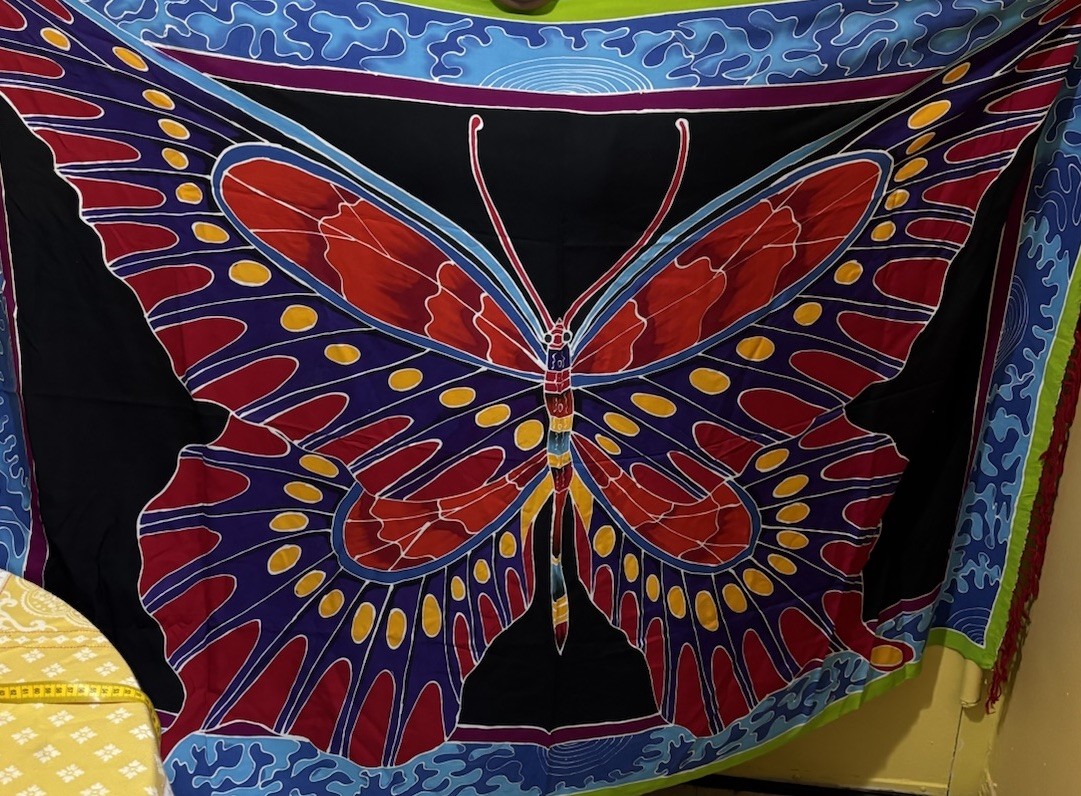 Buster ‘N’ Bogi Cover-up Scarf Multi-color Butterfly Print  68”x45. 100% Rayon