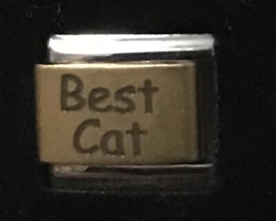 Best Cat Gold Plated Center Italian CHARM K2023 J1