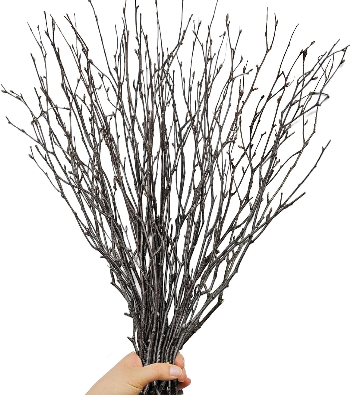 30 Pcs 17� Real Dried Birch Twigs for Rustic Home Decor & Floral Arrangements