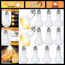 12 Pack 100W Reptile Heat Bulbs - White Basking Lamp for Bearded Dragons, Lizard