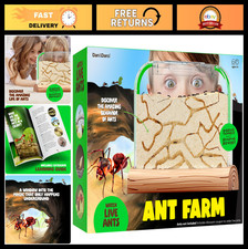Ant Farm Kit for Kids - Educational Sand Habitat with Ants Voucher - Bug Terrari