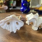 Antique Hand Painted Nautical Sea Shell Folk Art 1950s-60s. Most Likely Italian — photo 5