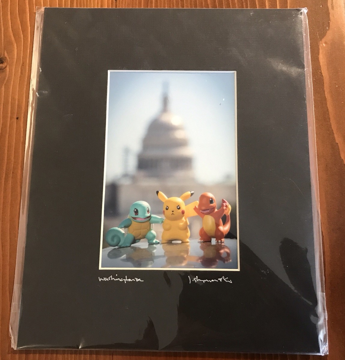 Pokemon Pikachu Photo Art - Joe Shymanski - Washington, DC 2017 | eBay