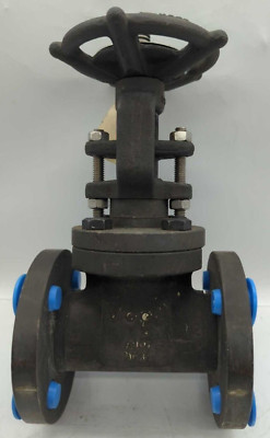 Flowserve Valve Gate Steam API602B16.34
