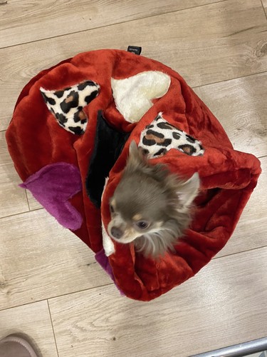 LUXURY FAUX FUR SACK CHIHUAHUA PUPPY BED SLEEPING BAG DESIGNERPETS - Picture 3 of 9