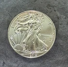 2013 American Silver Eagle 1 Troy Oz .999 Fine Silver