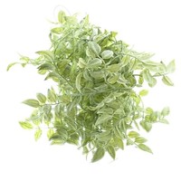 Dpi Philodendron Blattgirlande GrüN & Weiß 165 Cm - Kunstblumen