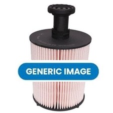 Fuel Filter Fits Citroen Berlingo C3 C4 C5 DS3 DS Ford Peugeot Motrio 8660005354