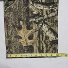 Bild 12 von 12