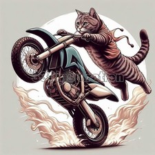 Digital Image Picture Photo Wallpaper Background Desktop Art Stunt Cat A212