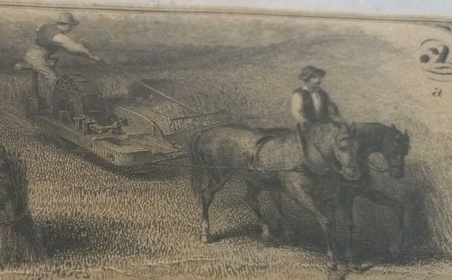 RARE Obsolete Currency Bank of Lexington State of North Carolina $10 Nice Art 🎨 - Picture 4 of 9