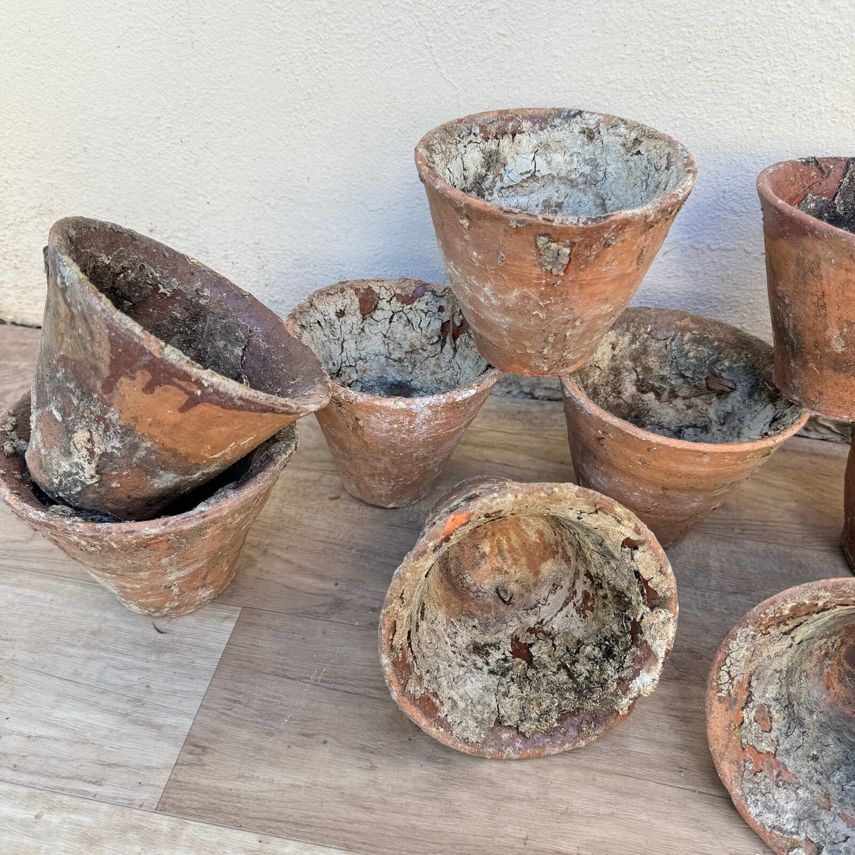 EMP サンセベリア Yard Pi Rune / SA389 Antique French Pine Resin Collecting Pot Terracotta Tree Sap