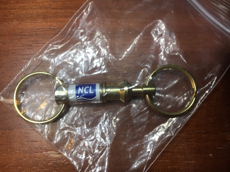 Norwegian Cruise Line-Pull Apart 2 Hoop Key Chain
