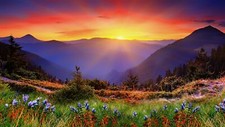 Landscape new zealand mountains flowers sunset orange Custom Gaming Mat Desk