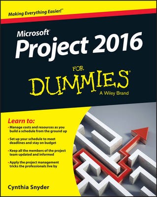 Project 2016 For Dummies - 9781119224518