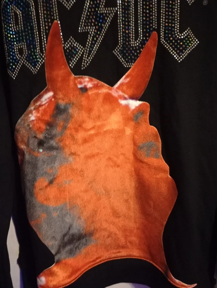 Sudadera con capucha Acdc Hudson XL Foto 2 de 3