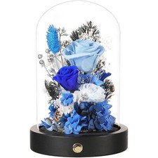Flowers Roses Gifts for Mom,Forever Real Preserved Rose in Glass Dome