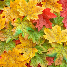 4.73''Fake Fall Leaves Decor,0.7 LB Fall Leafs Faux Odorless,600 Pcs Large Fall