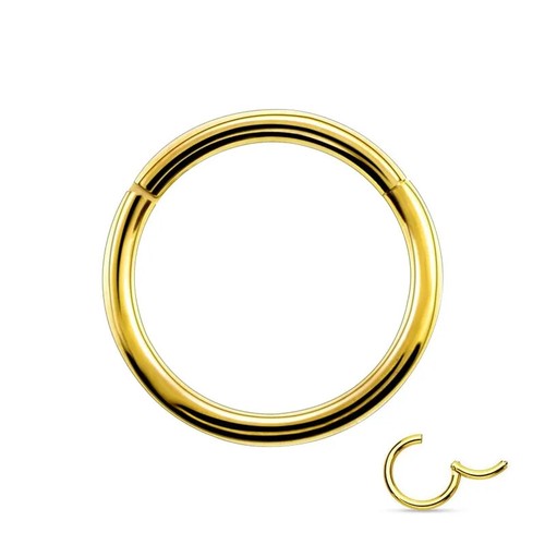 16G Surgical Steel Nose Ring Septum Clicker Hinge Segment Ear Helix Tragus Hoop - Picture 10 of 16