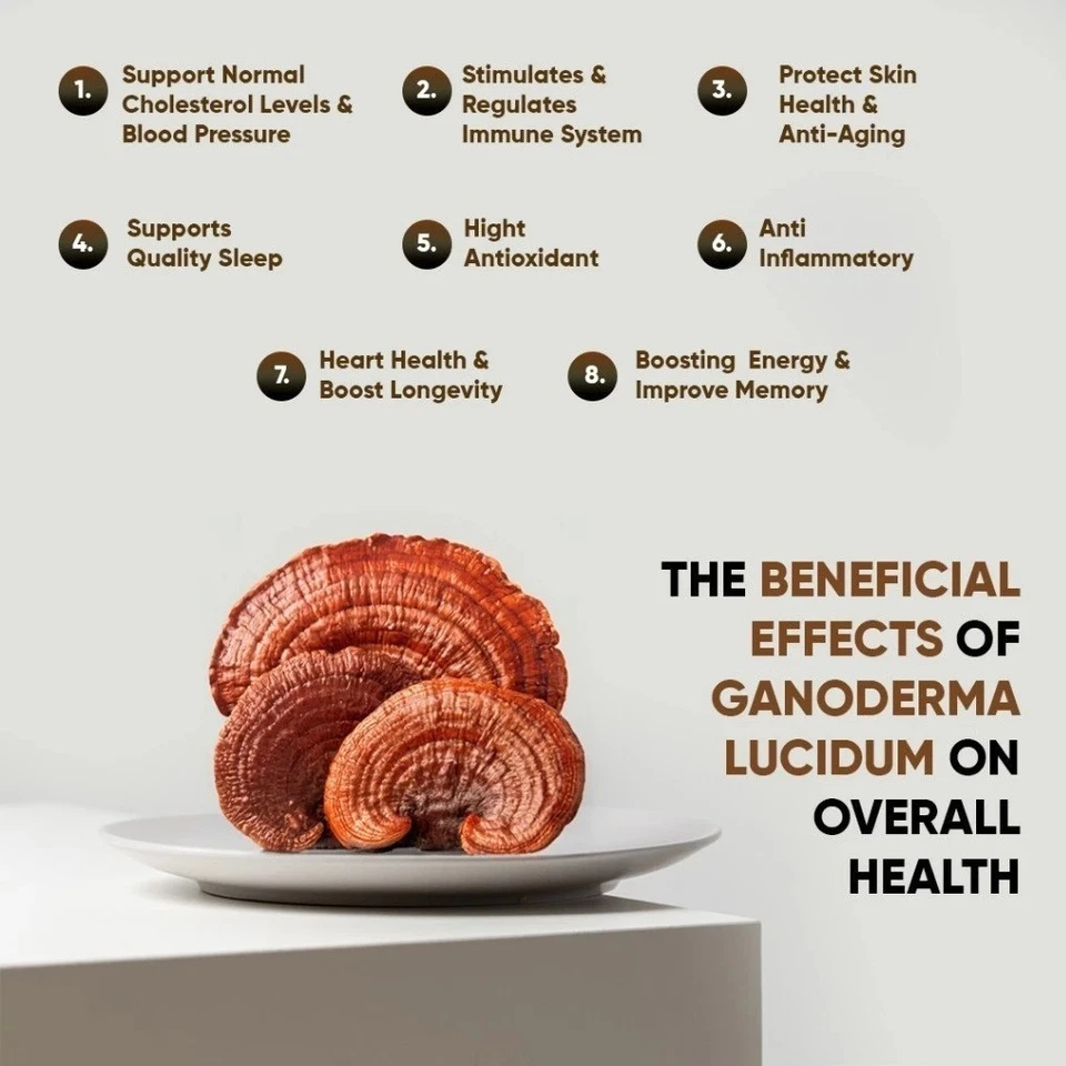 100% Organic Nugano Black Coffee Ganoderma Lucidum Reishi Dark- 12box - Image 4 of 4