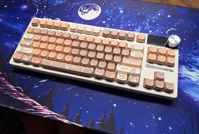 Custom TKL Wireless Mechanical Keyboard | RK S85 | Lubed Linear Switch