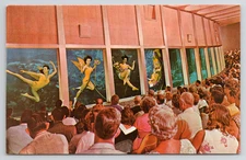 Spring Hill FL Weeki Wachee Mermaids Underwater Performance Florida Postcard