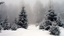 Landscape nature snow forest winter cold ice trees Custom Gaming Mat Desk