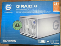 2-Bay SanDisk Professional G-RAID 2, 28TB Storage RAID Solution, Thunderbolt 3
