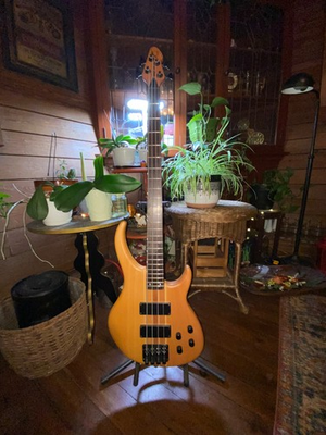 #ad #ad Peavey Grind BXP 4 string Bass Guitar with case $425.00