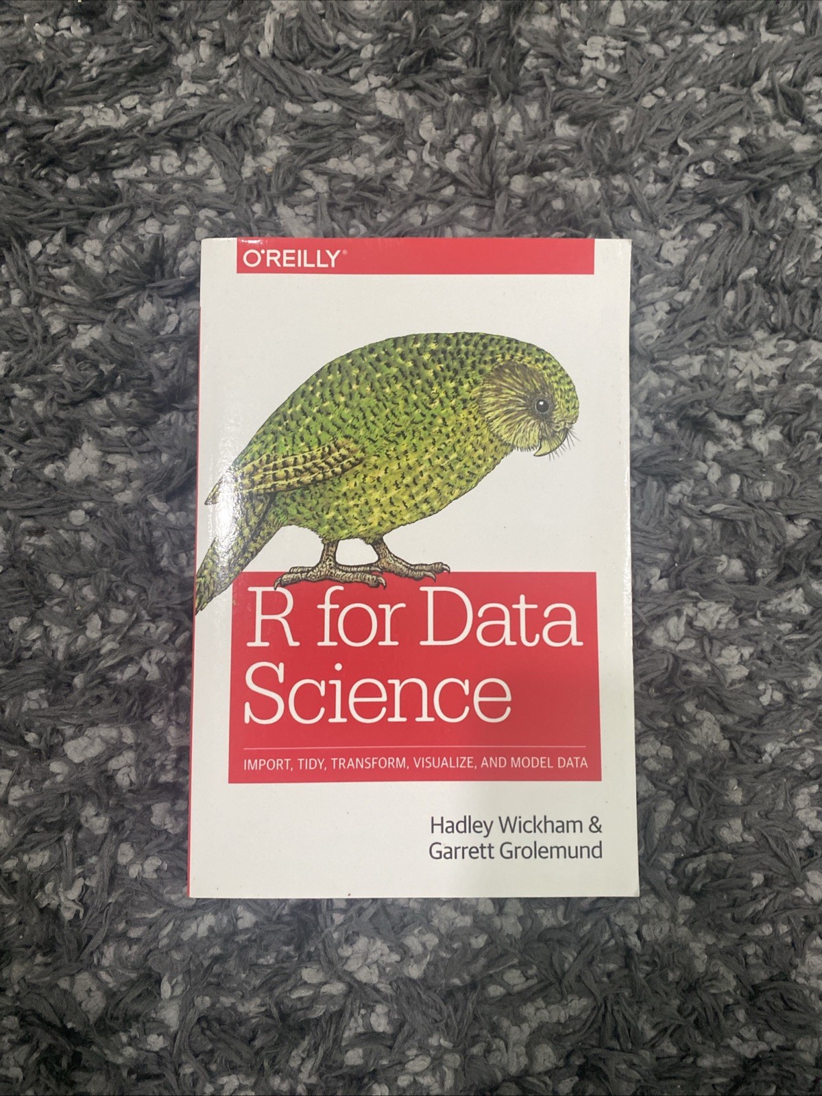 Brand New R For Data Science 