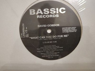 DAVID GORDON - ''WHAT CAN YOU DO FOR ME'' / SEALED! / BASSIC RECORDS 1991