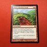 MTG Where Ancients Tread Shards of Alara Regular Rare