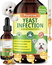 Natural Yeast Infection Treatment for Dogs, Itchy Ears, Skin, Paws Allergy ...