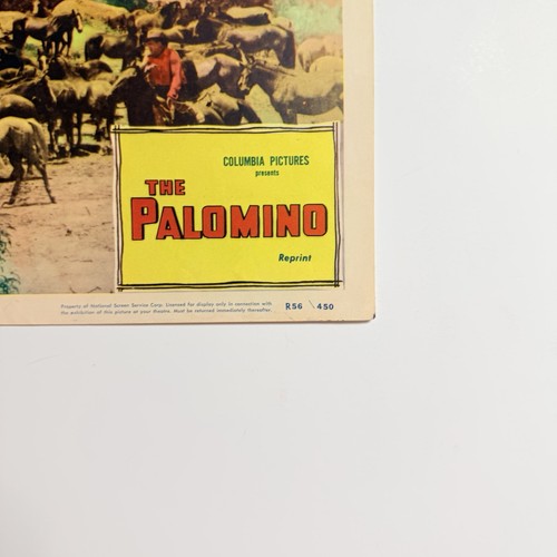 1956 The Palomino Original 11x14” Lobby Card Beverly Tyler Jerome Courtland - Picture 3 of 6